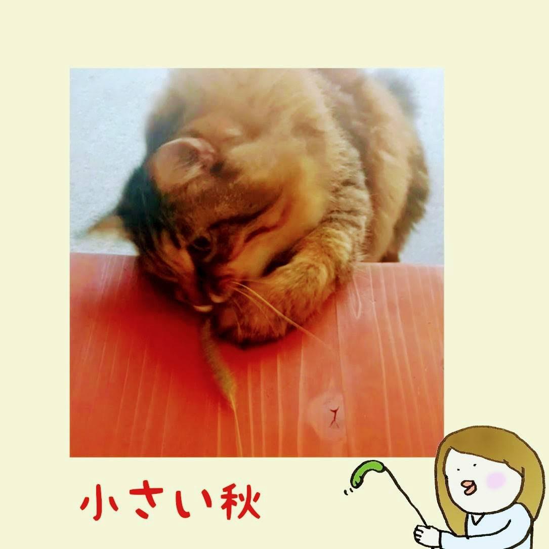 H R(փ)