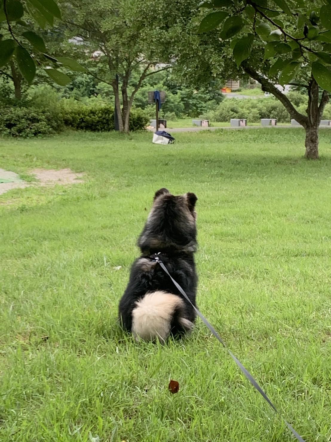 ���ǂ��̗p�����d�Ȃ��