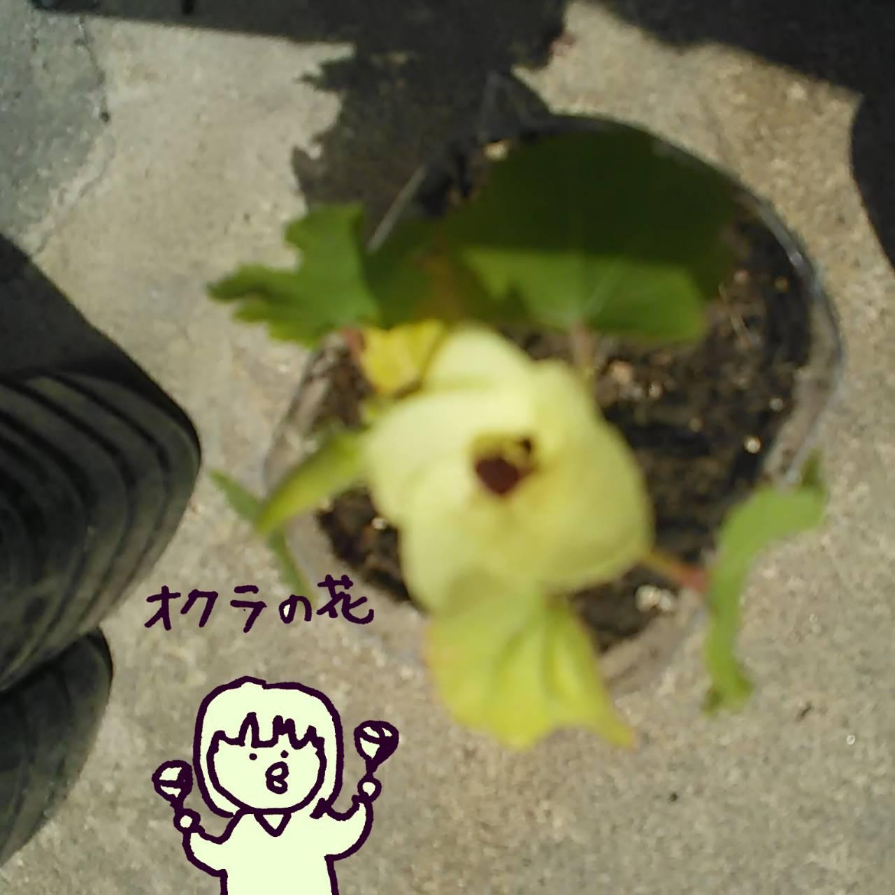 �Ȃ�ƁA�I�N���̉Ԃ͐H�ׂ���I