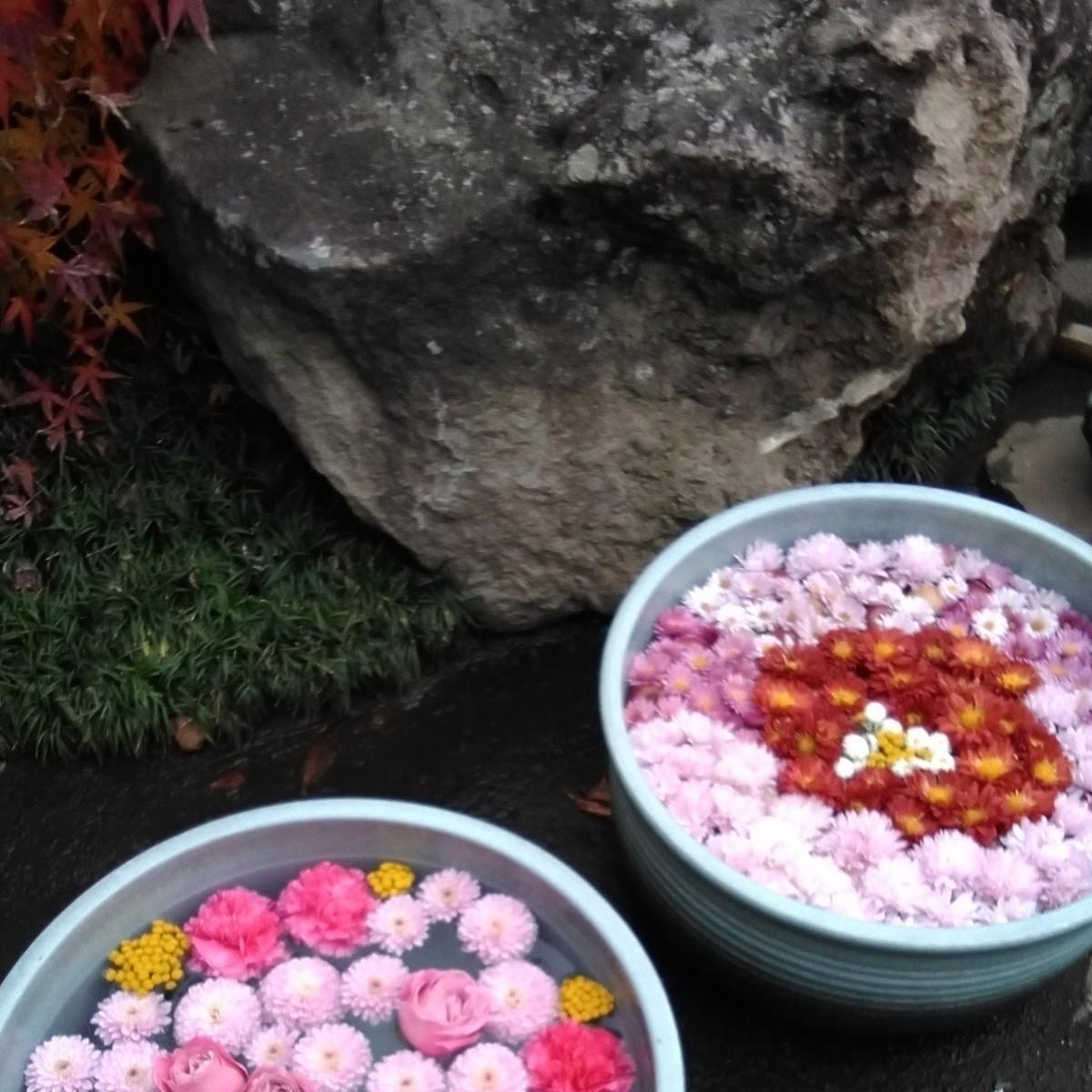 1��1�u���O���ڕW