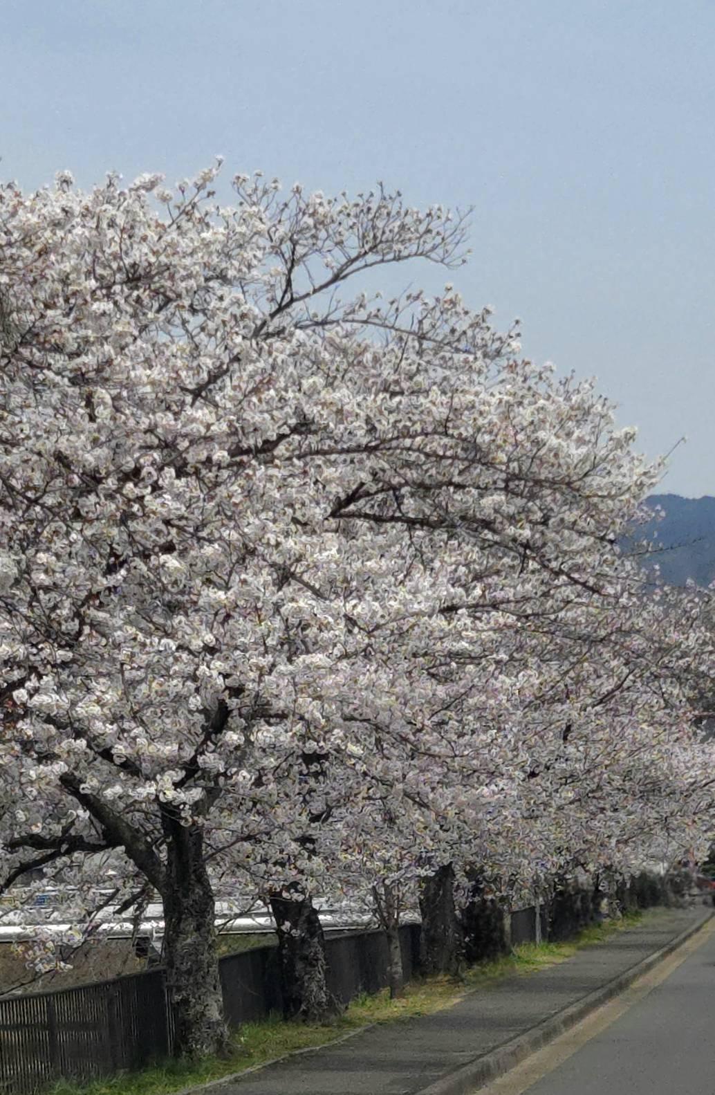 �S��9���@�����^