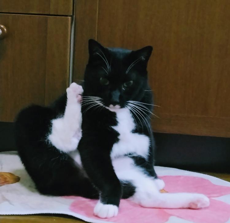 9̌