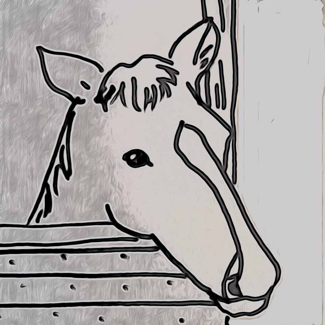 ���������؂ɂ��邱�ƁB