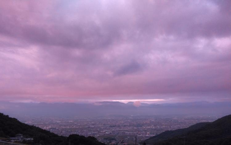 ���̐�������