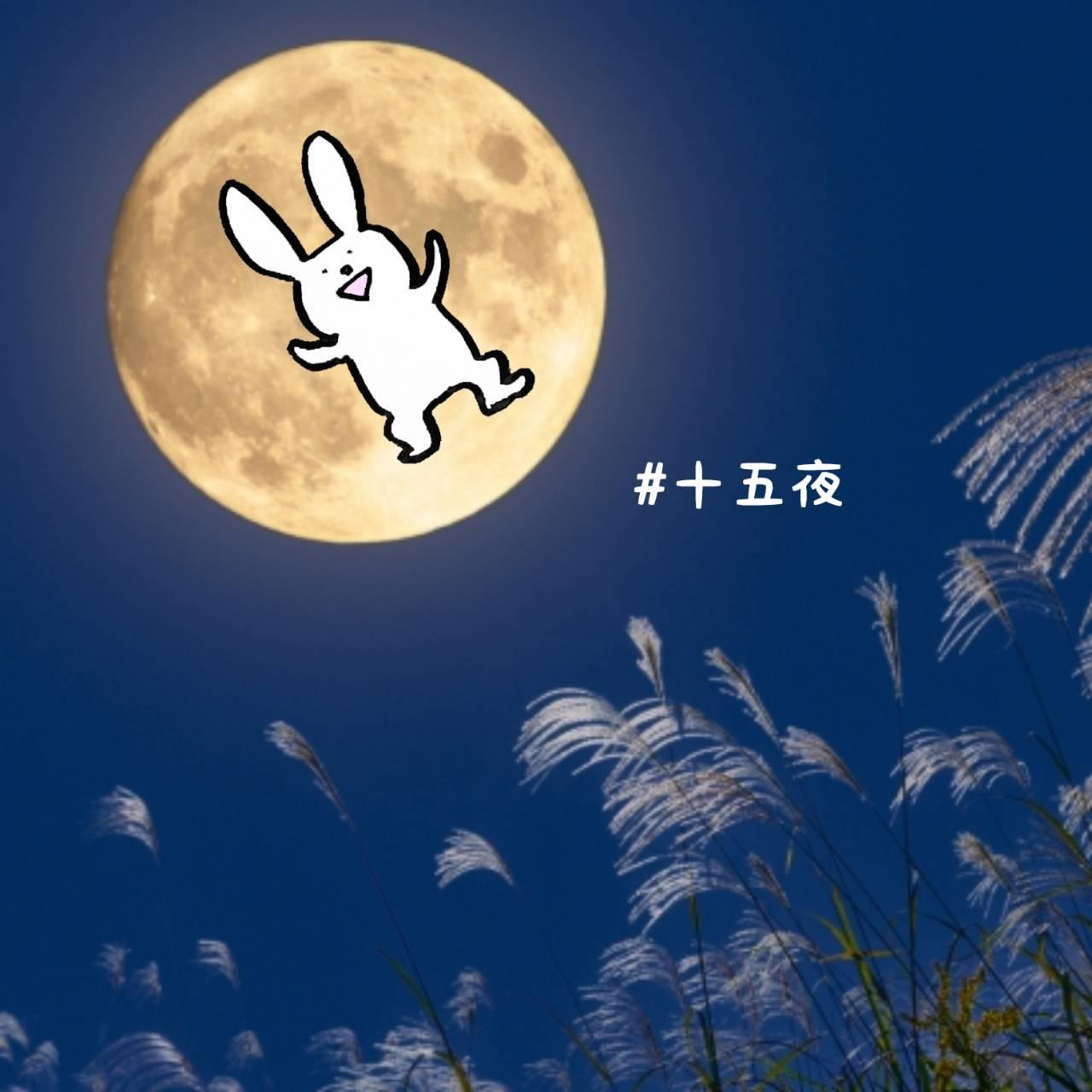 �\�ܖ��SNS�f���A��肷�����I