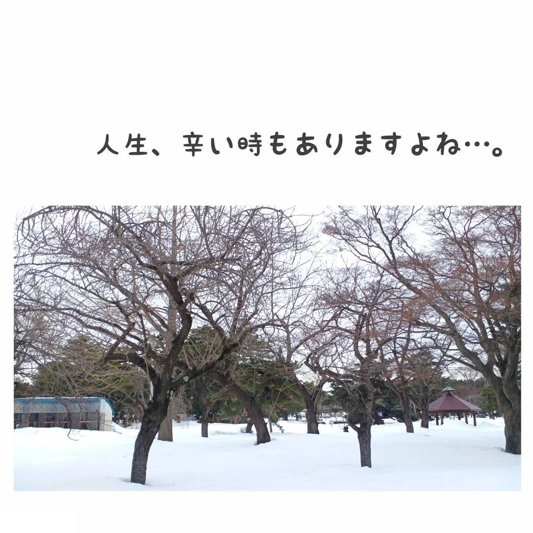 �l���A�h����������܂���ˁc�B