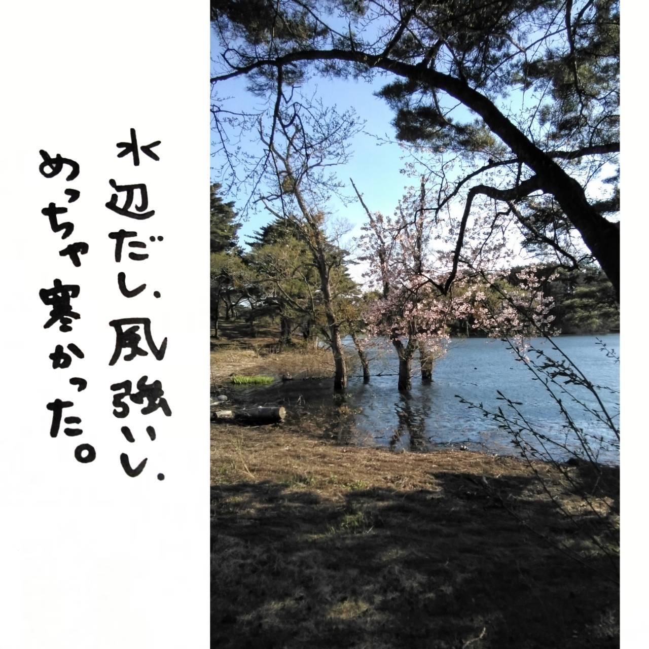 ���Ԍ��Ɯ����̘b