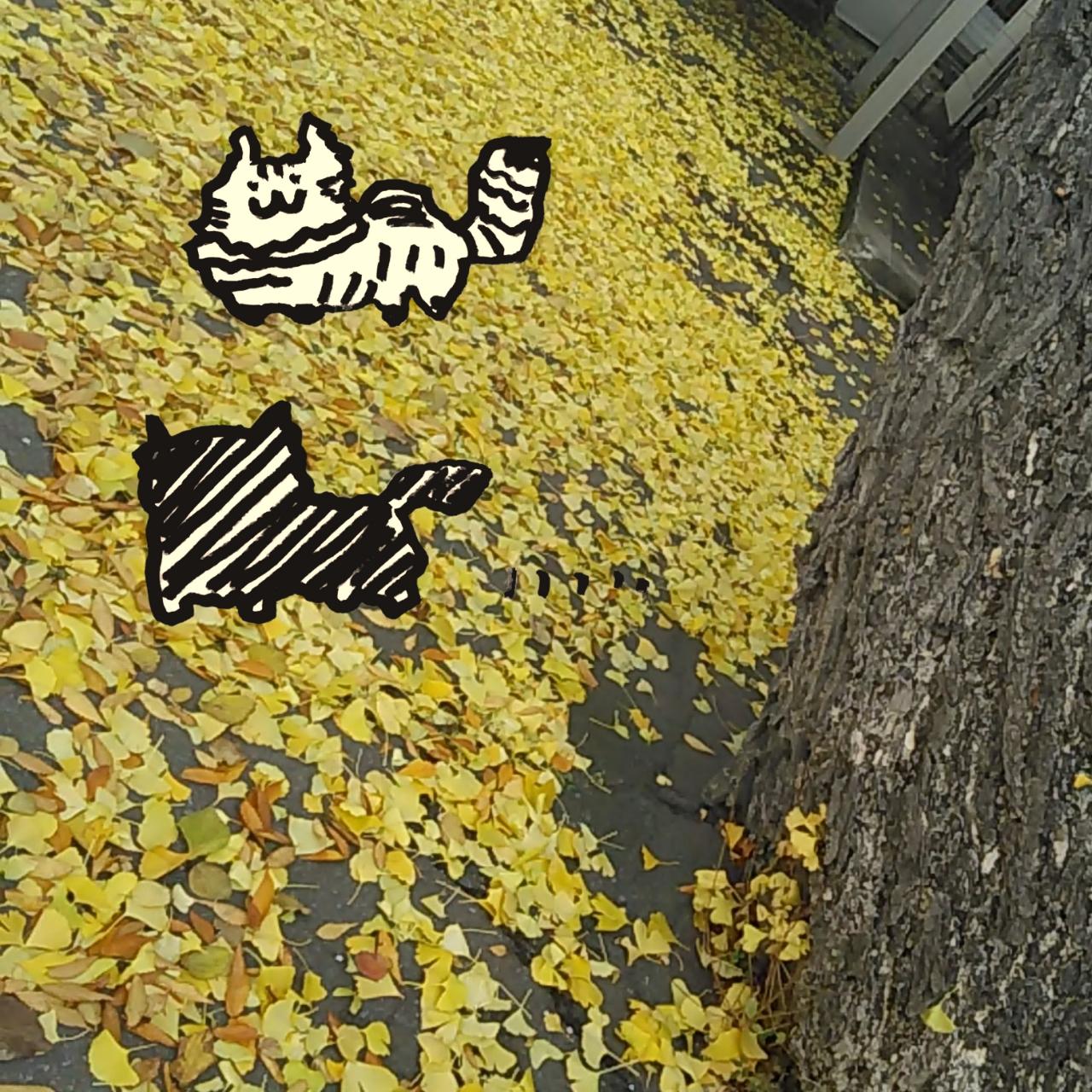 ���L�̋󎗂������