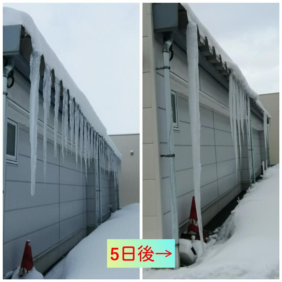 ����Ȃ��̐����ߒ�