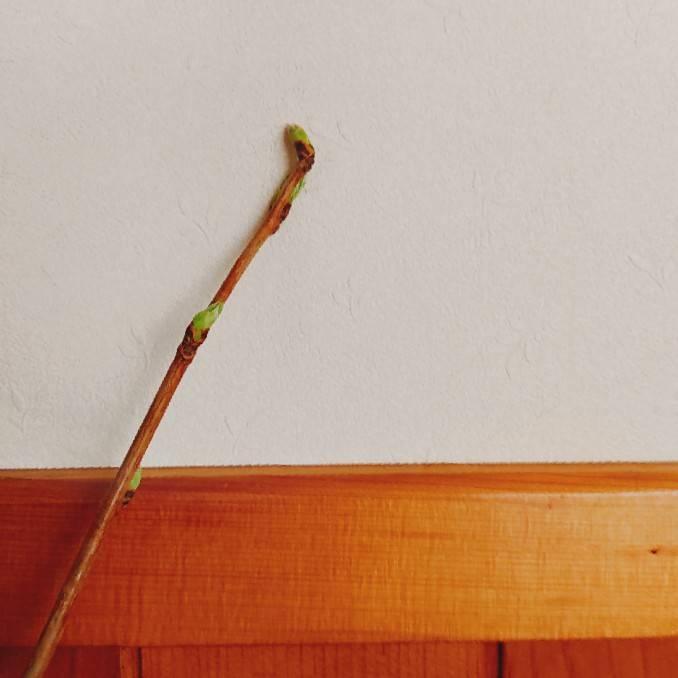 �}����������ɂ��}��