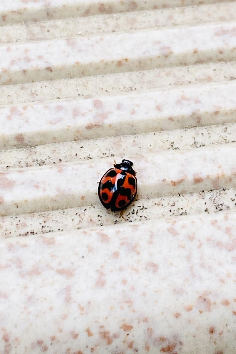 �Ă�Ƃ����͍K�^�̃W���N�X�I