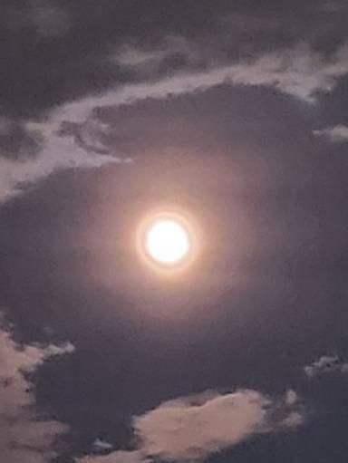 �K���ɂȂ낤��