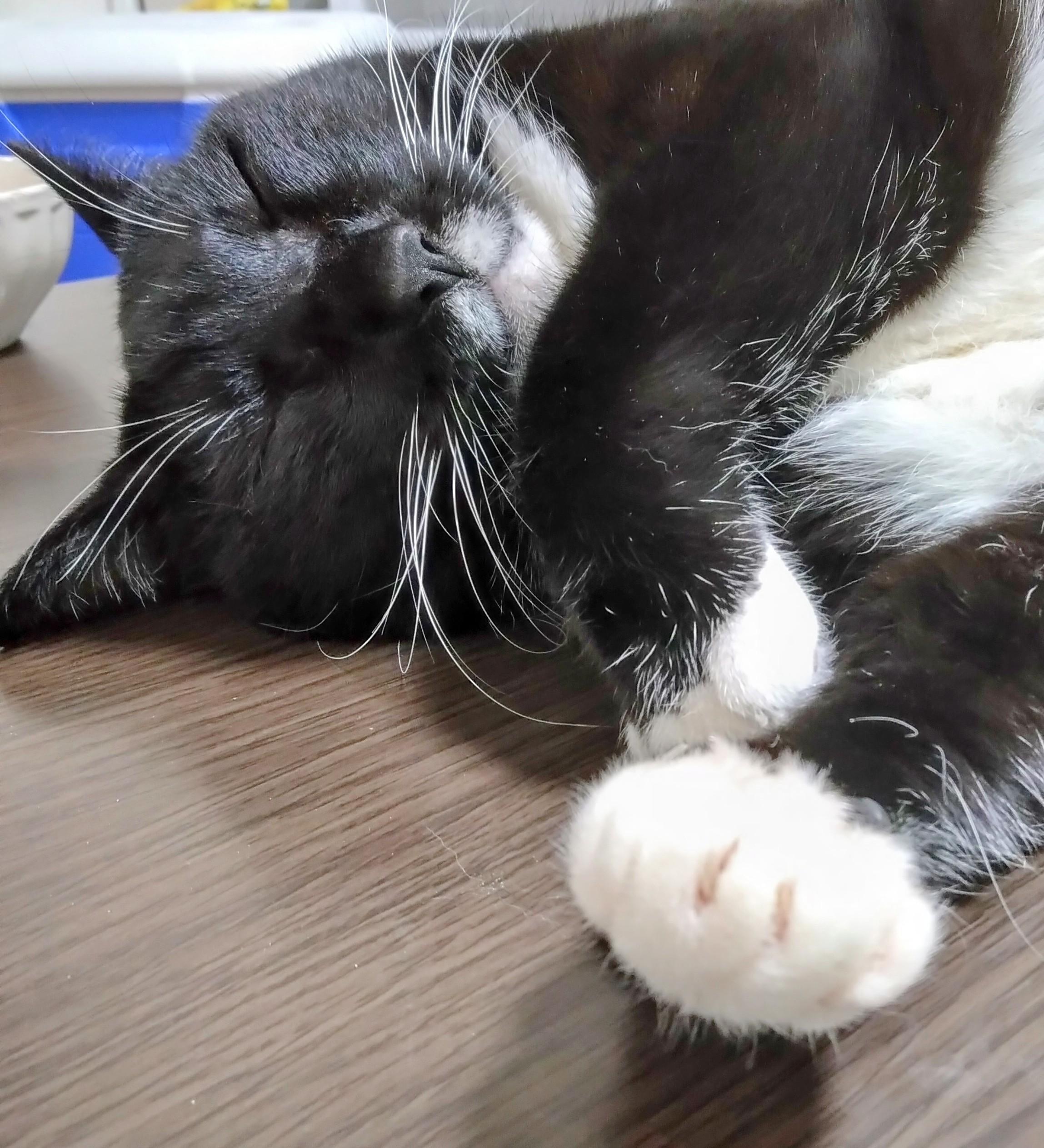 �ߕ��̔閧