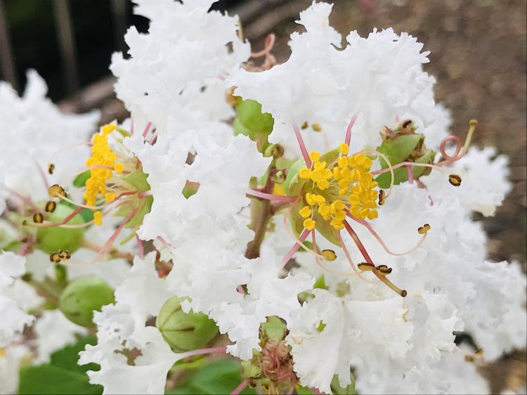 �K���ɂȂ邽�߂Ɂu�񑩂͎����̂��v