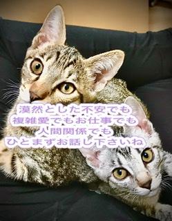 �����k�͂��C�y�ɁBR4.6.26����