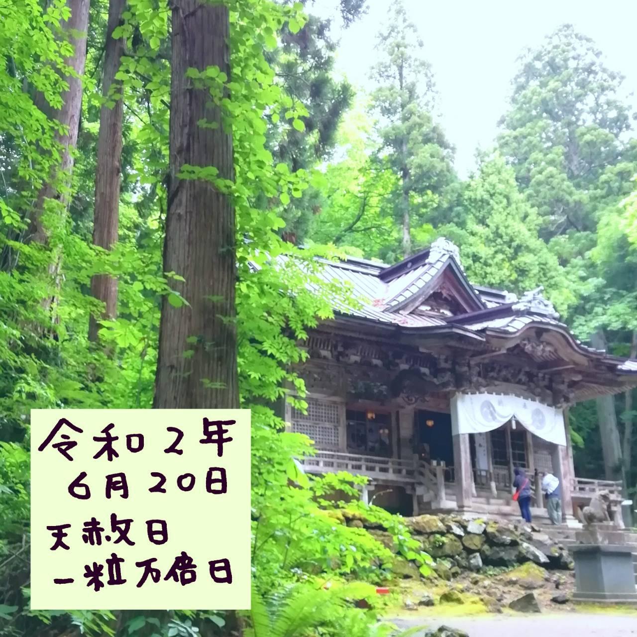 �V�͓����I�ꗱ���{�����I�I