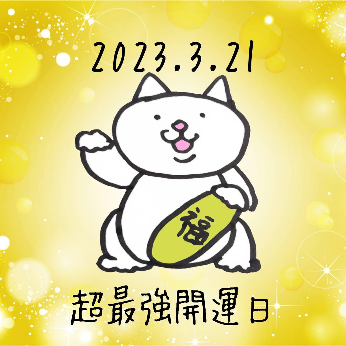 �_���ŋ��J�^���^ �J�^�A�N�V������