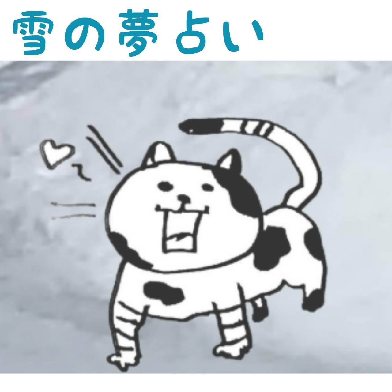 �y��̖��肢�z���̐S�̃T�C����