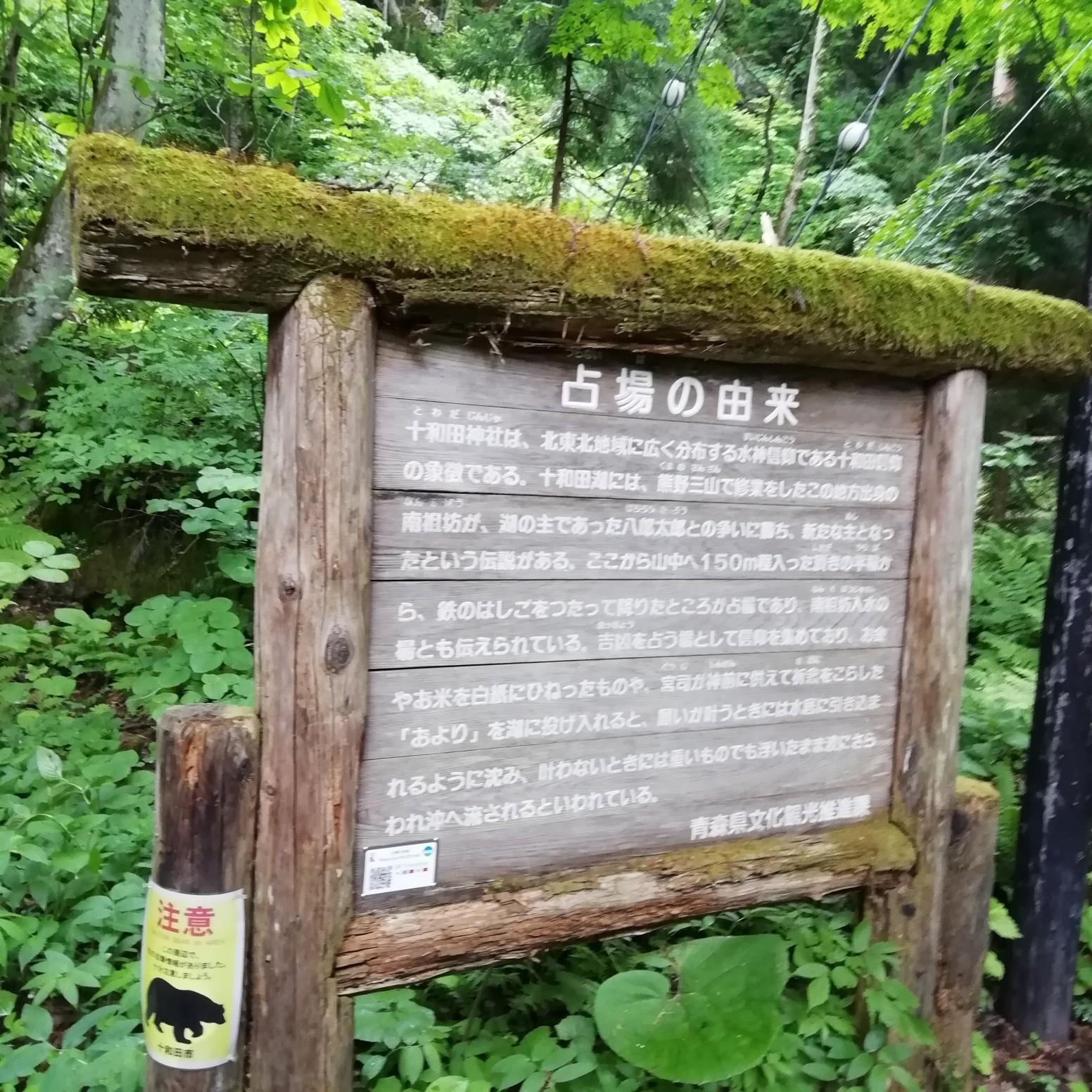 �J�^�̏����@�\�a�c�_�ЋL�Q