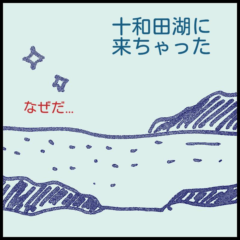 �������ꂽ��X�B