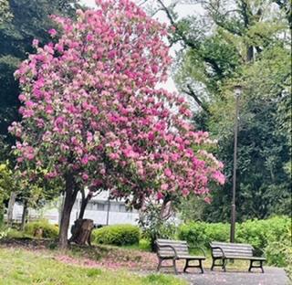 ���ԁA���삪�L�[���[�h4.27����