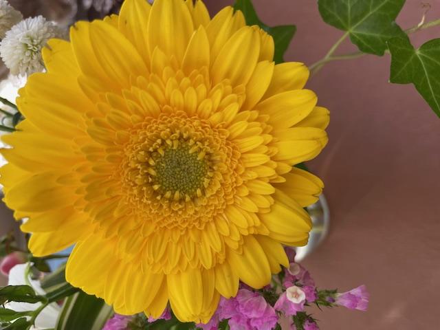 �y�X���\�����m��B�z