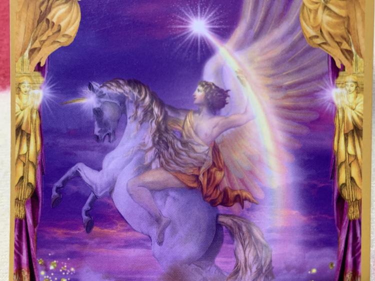 TAKE ACTION  �s�����悤�I