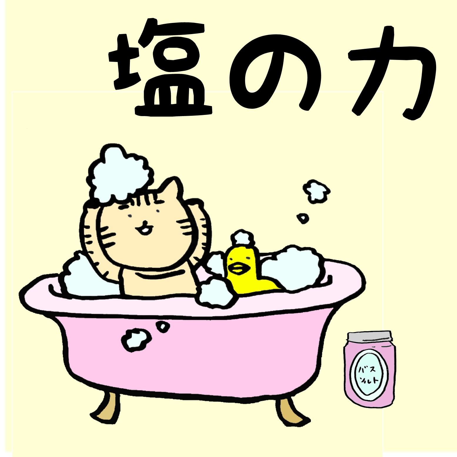塩の力！浄化と保護の魔法の成分