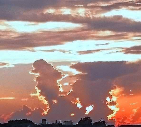 ���Ȃ�����肽�������c