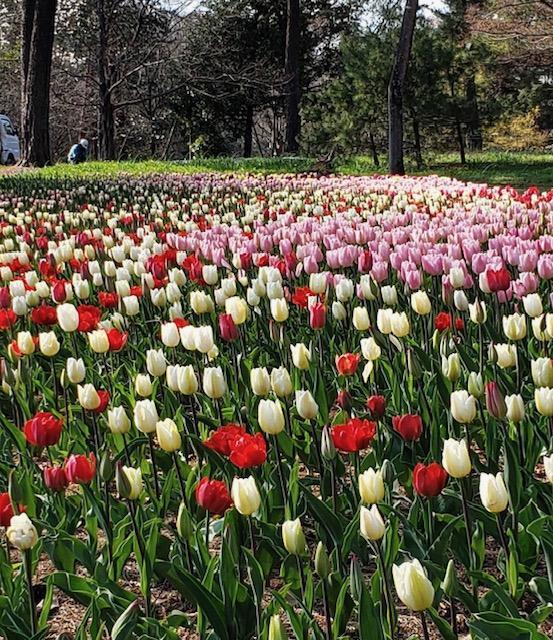 �ނ̋C�������m�肽��