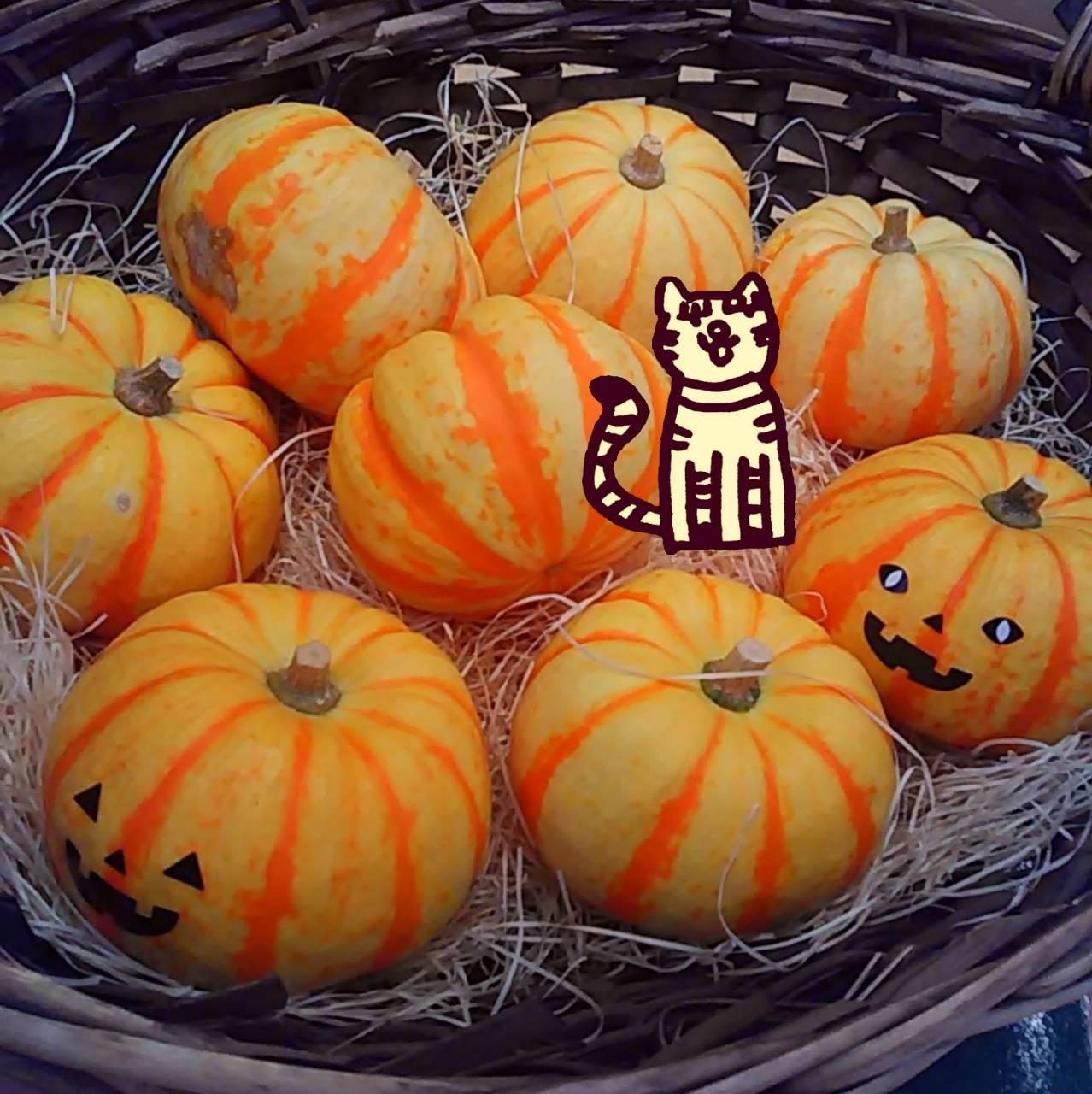 �n���E�B������������