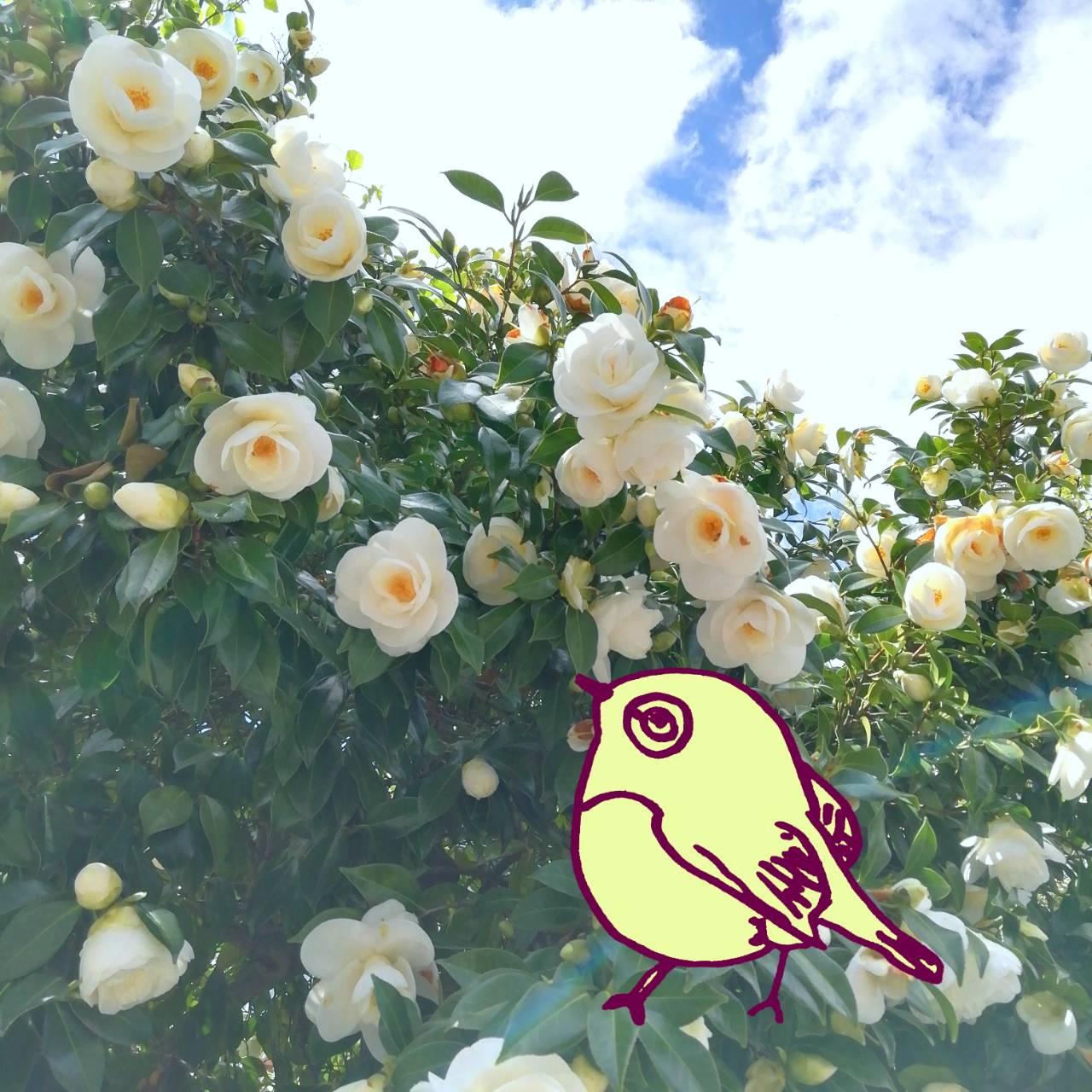 �؂ɏt�Œ�