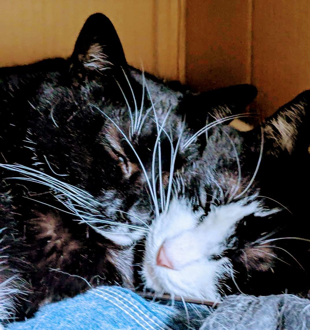 �����E�R�~���j�P�[�V�����̓����̓�