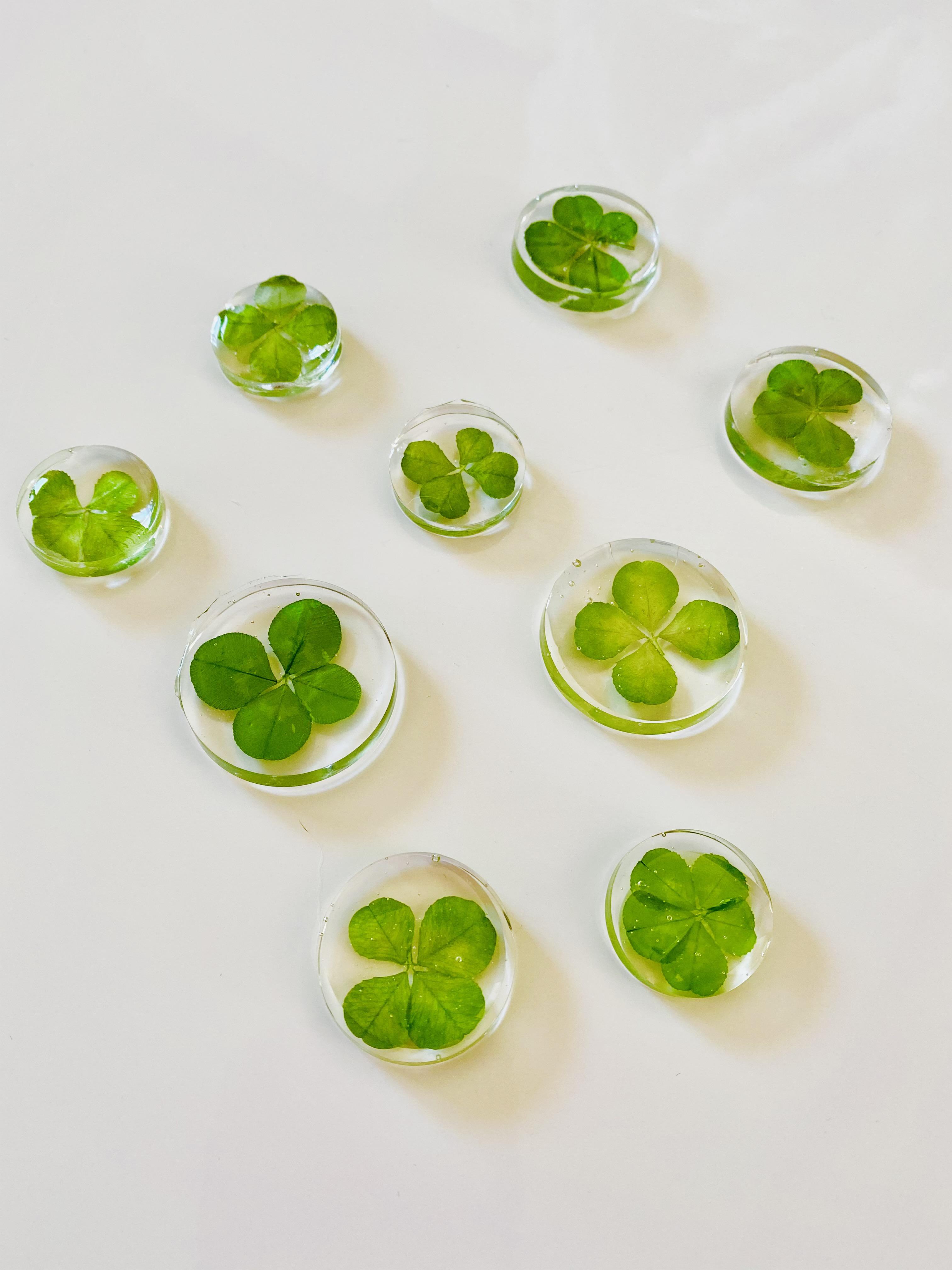 �قق��݂�����