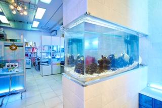 �_�l����̃��b�Z�[�W