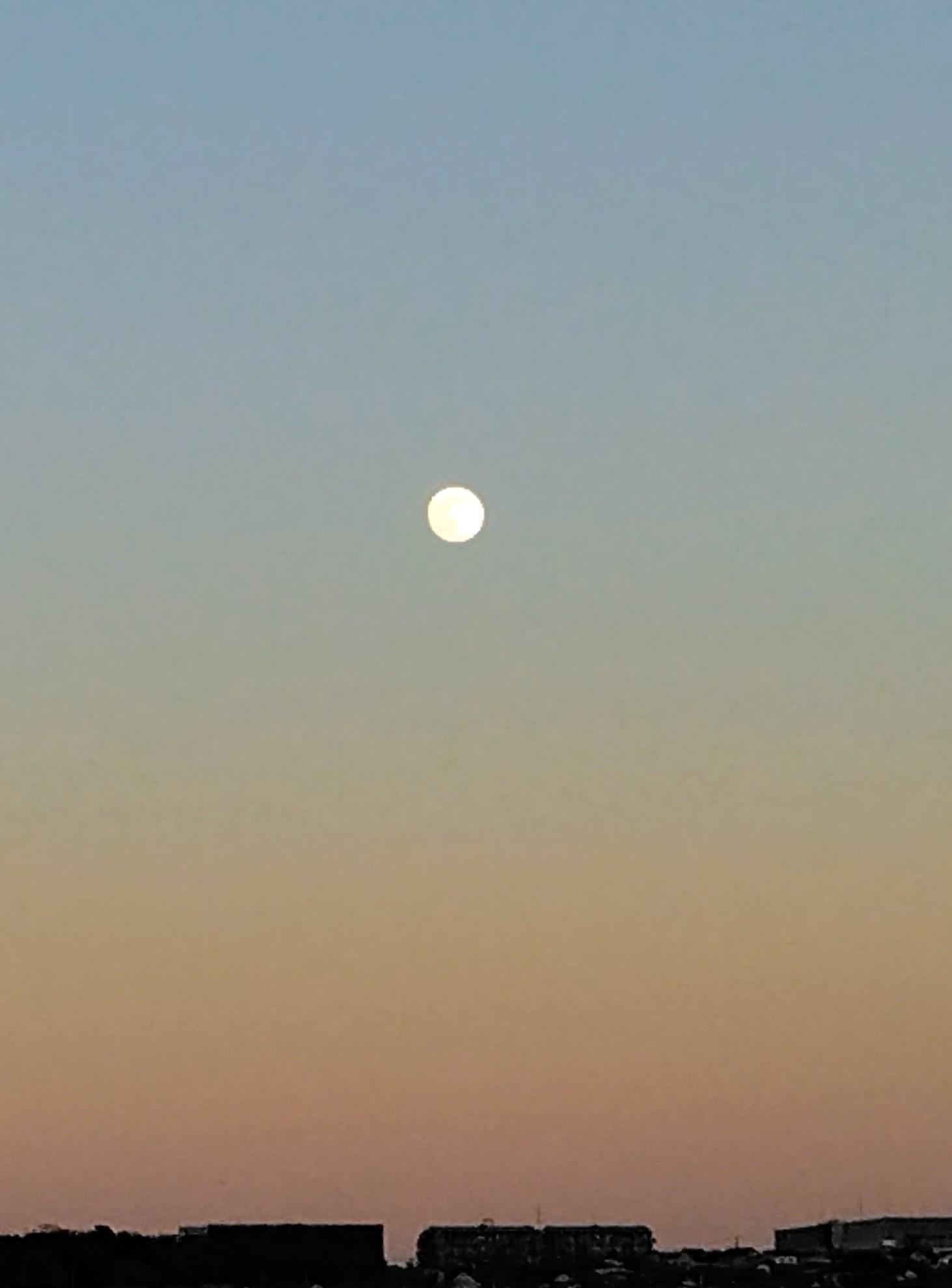 ������Ɍ�肩���閞��