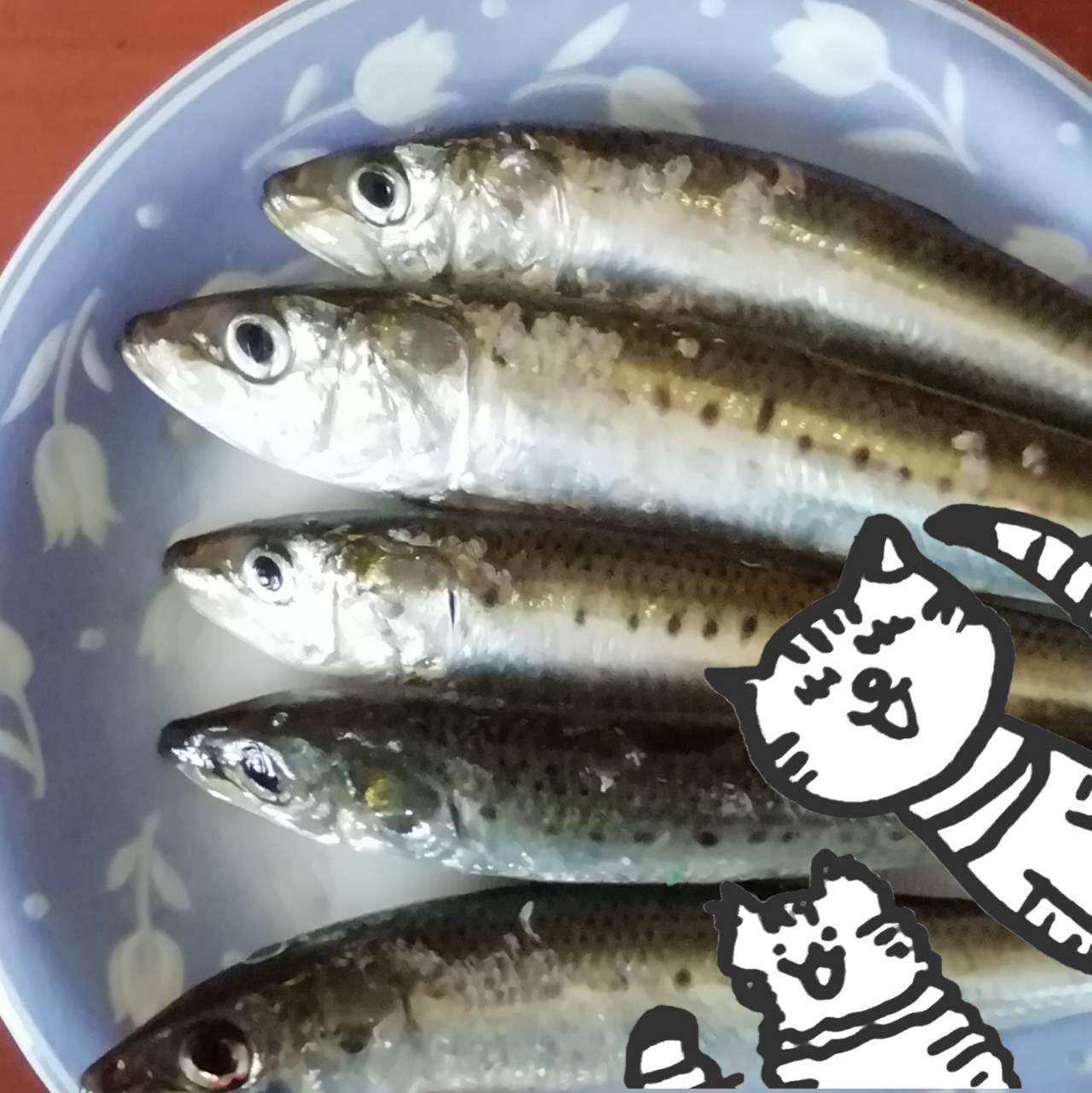 ���ŏo���^���I�A���`�G�C�W���O���O�O
