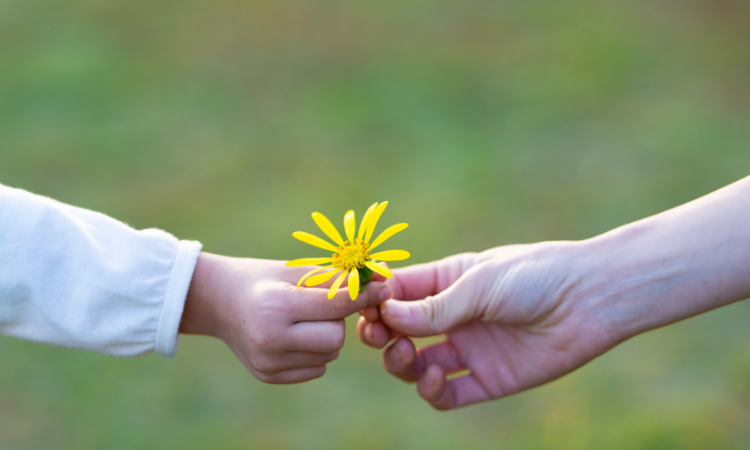 �q������Ԃ����炤