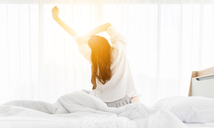 �N�����鏗��