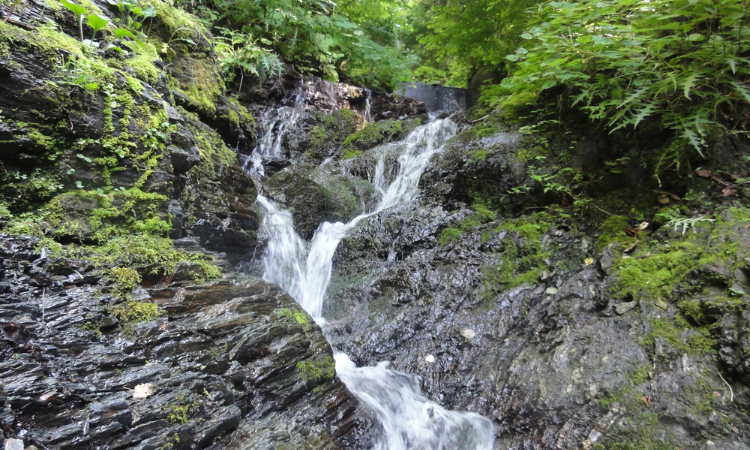 ゼロ磁場・分杭峠の水